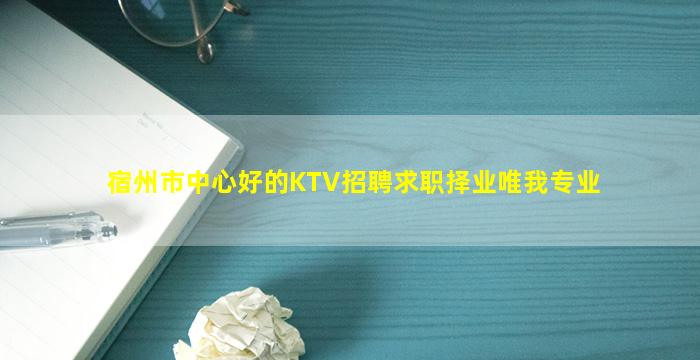 宿州市中心好的KTV招聘求职择业唯我专业